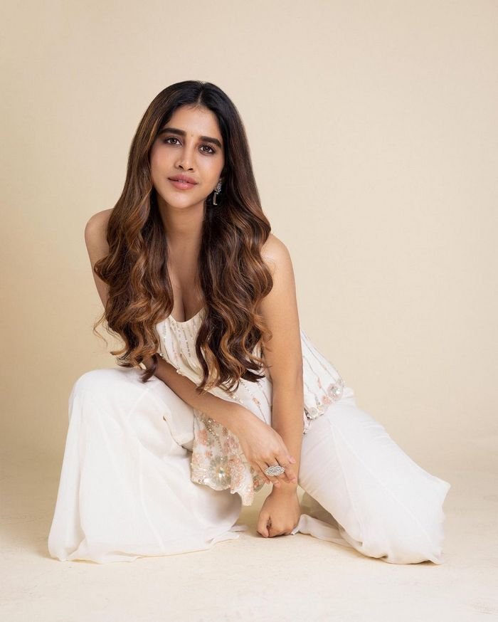 nabha natesh 5